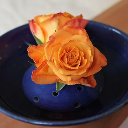 Bio Kipperquelle Weimar (Thuringia)