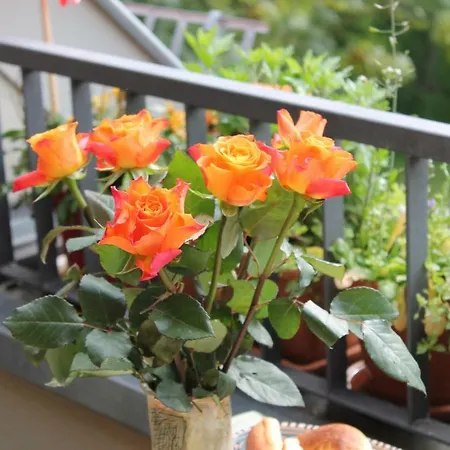 Bio Kipperquelle Hotel