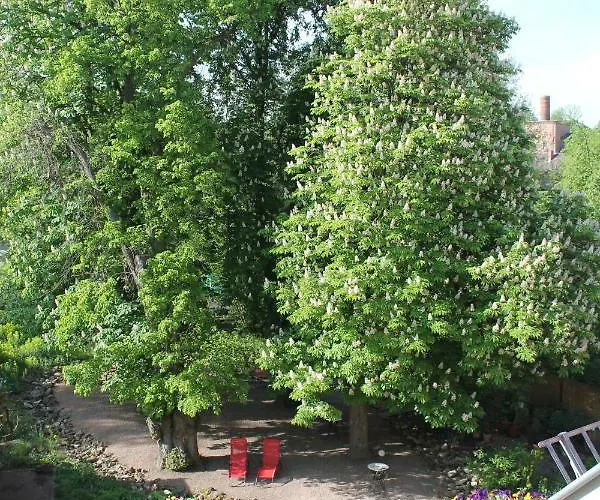 Bio Kipperquelle * 魏玛