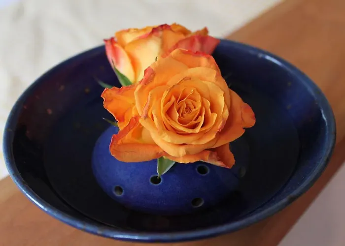 Bio Kipperquelle Weimar (Thuringia)