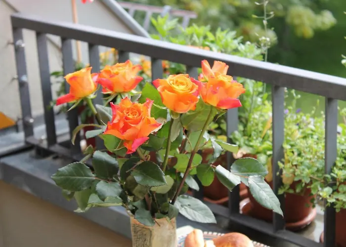 Bio Kipperquelle 酒店