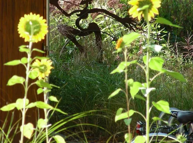 Bio Kipperquelle 酒店 *