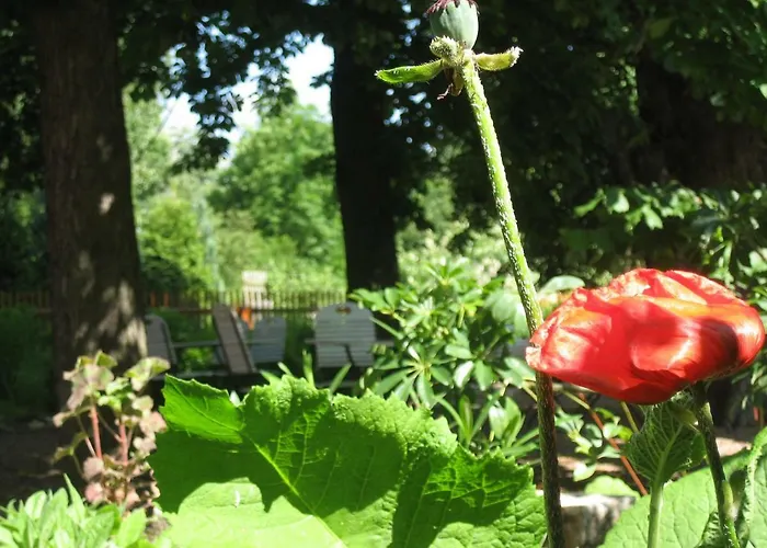 Hotel Bio Kipperquelle *