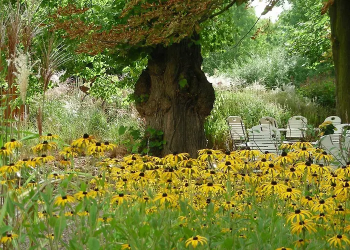 Bio Kipperquelle * 魏玛